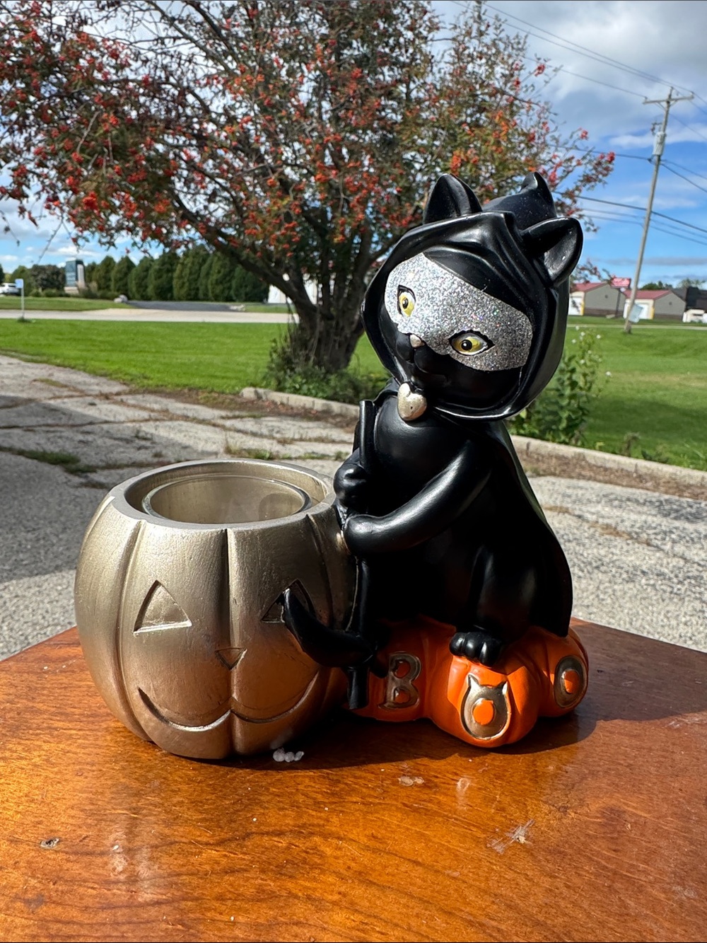 The item in the image is the Yankee Candle Sophia the Cat Witch Votive and Tea L